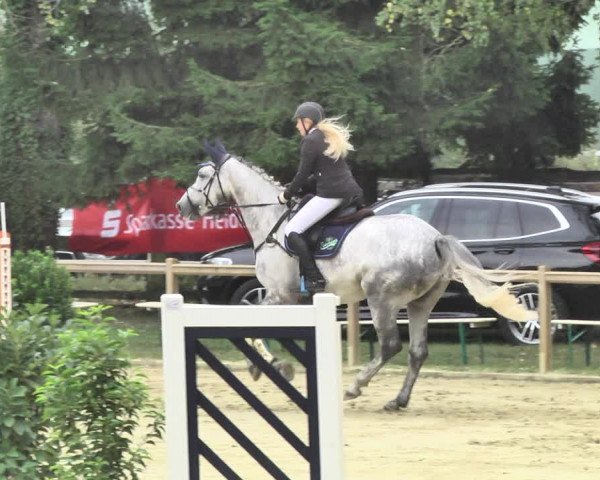 Reitturnier Walldorf/Winterheck 2018
