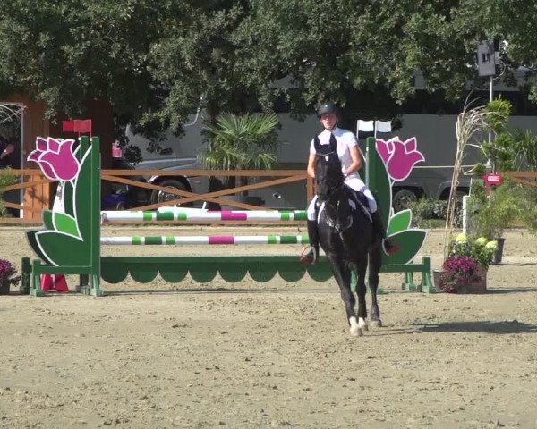 Reitturnier Köln - Reitanlage Brüse 2018