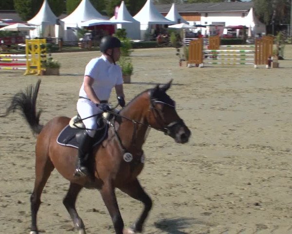 Reitturnier Köln - Reitanlage Brüse 2018