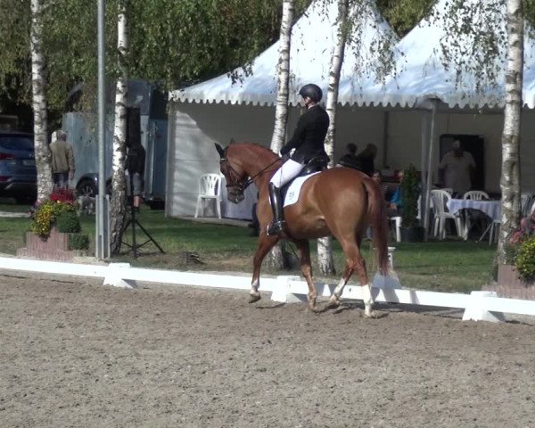 Reitturnier Würselen-Pley 2018