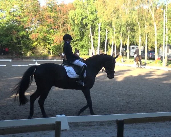 Reitturnier Würselen-Pley 2018