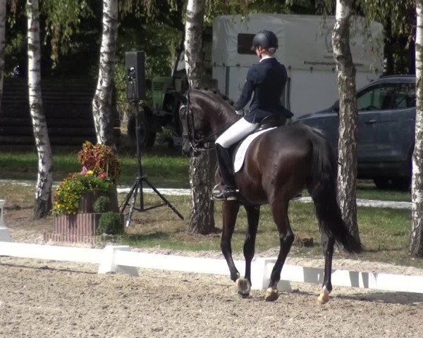 Reitturnier Würselen-Pley 2018