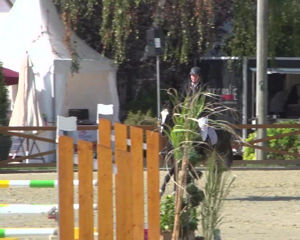 Reitturnier Köln - Reitanlage Brüse 2018