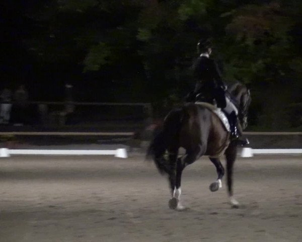 Reitturnier Würselen-Pley 2018