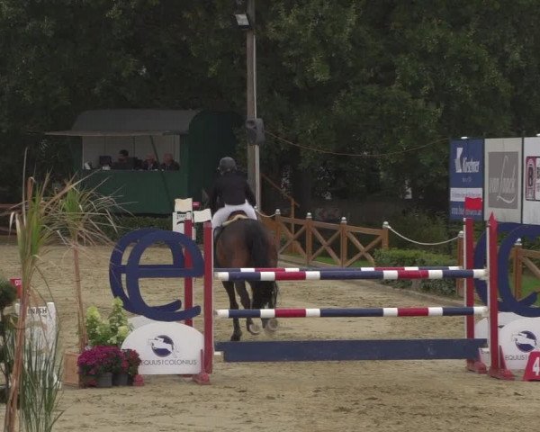 Reitturnier Köln - Reitanlage Brüse 2018