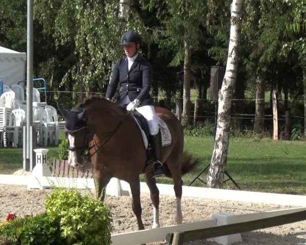 Reitturnier Würselen-Pley 2018
