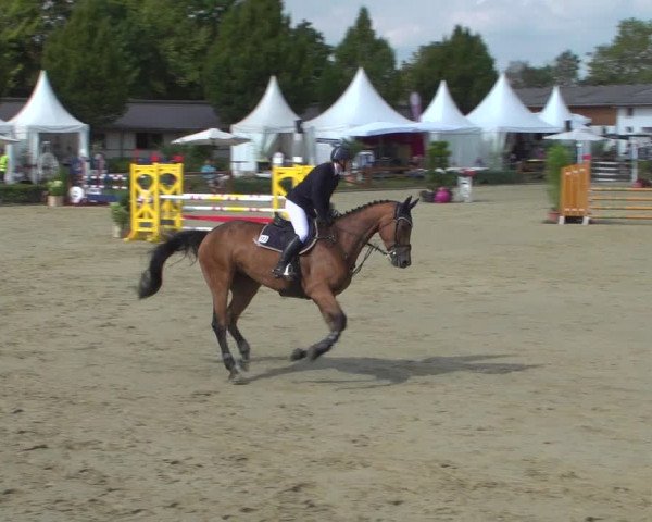 Reitturnier Köln - Reitanlage Brüse 2018