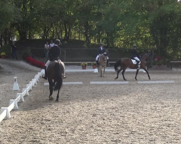 Reitturnier Würselen-Pley 2018