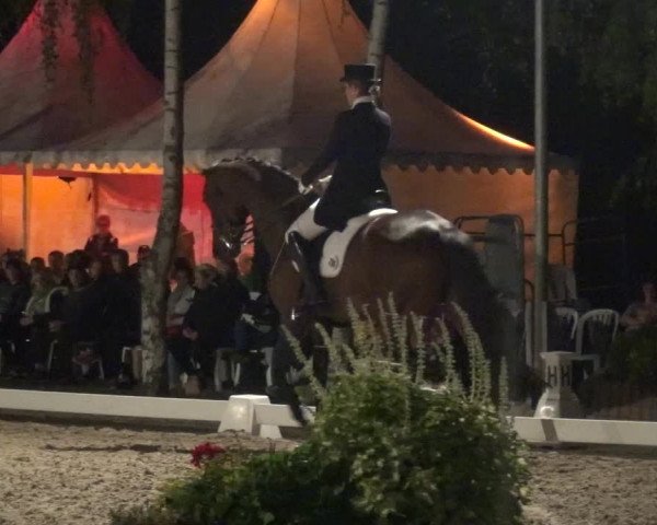 Reitturnier Würselen-Pley 2018