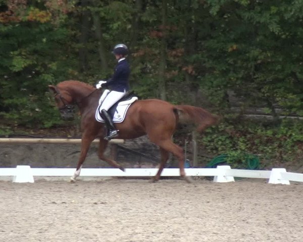 Reitturnier Würselen-Pley 2018