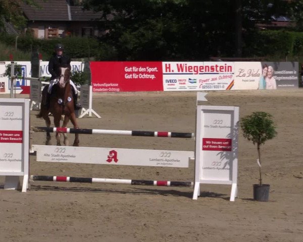 Dressur- und Springturnier Ochtrup 2021