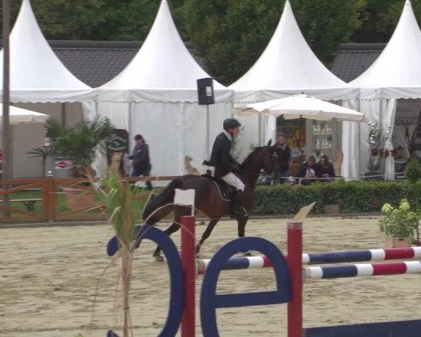 Reitturnier Köln - Reitanlage Brüse 2018
