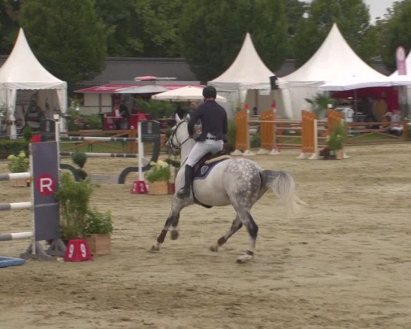 Reitturnier Köln - Reitanlage Brüse 2018
