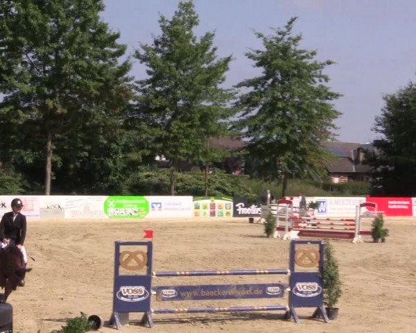 Dressur- und Springturnier Ochtrup 2021