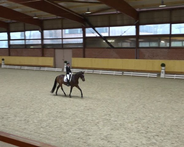 Reitturnier Hamburg-Friedrichshulde/Sylva Kuhrt 2021