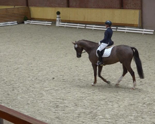 Reitturnier Hamburg-Friedrichshulde/Sylva Kuhrt 2021