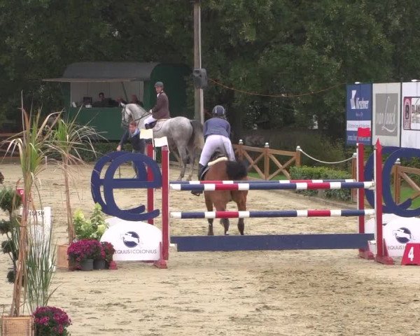 Reitturnier Köln - Reitanlage Brüse 2018