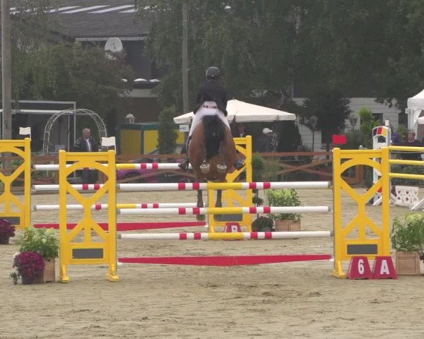 Reitturnier Köln - Reitanlage Brüse 2018