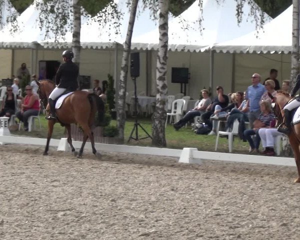 Reitturnier Würselen-Pley 2018
