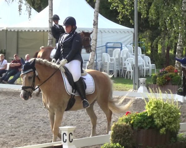 Reitturnier Würselen-Pley 2018