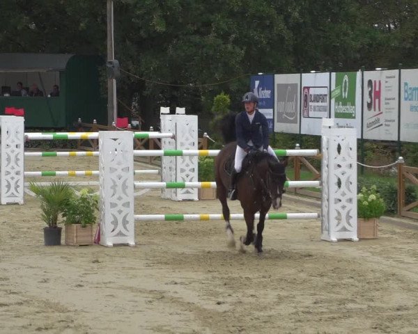 Reitturnier Köln - Reitanlage Brüse 2018