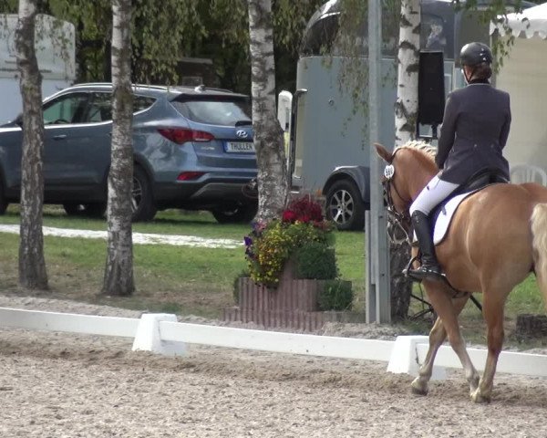 Reitturnier Würselen-Pley 2018