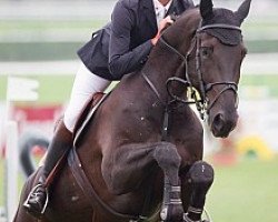 jumper H5 His Black Diamond Vt Arke (Belgian Warmblood, 2007, from Diamant de Semilly)