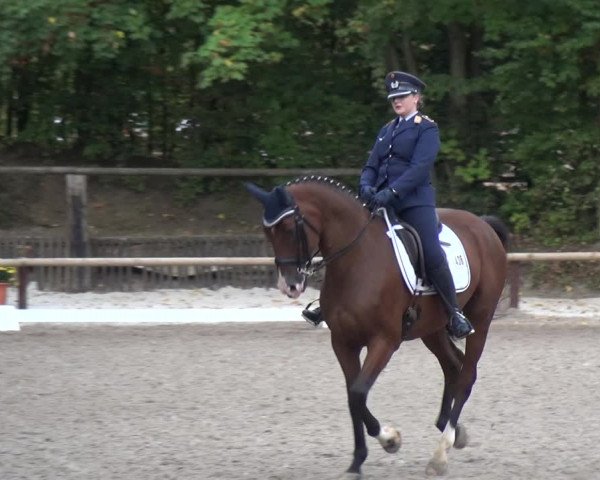 Reitturnier Würselen-Pley 2018