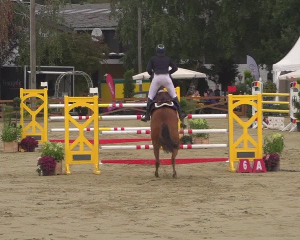 Reitturnier Köln - Reitanlage Brüse 2018