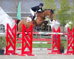 broodmare Jade van ' T Arkelhof (Belgian Warmblood, 2009, from Diamant de Semilly)