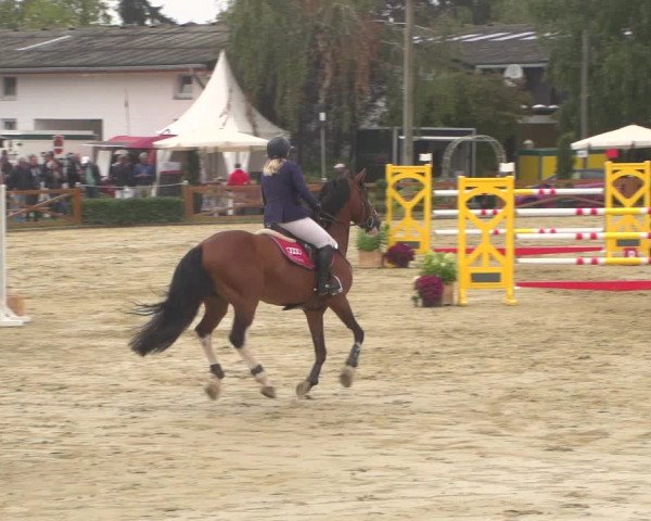 Reitturnier Köln - Reitanlage Brüse 2018