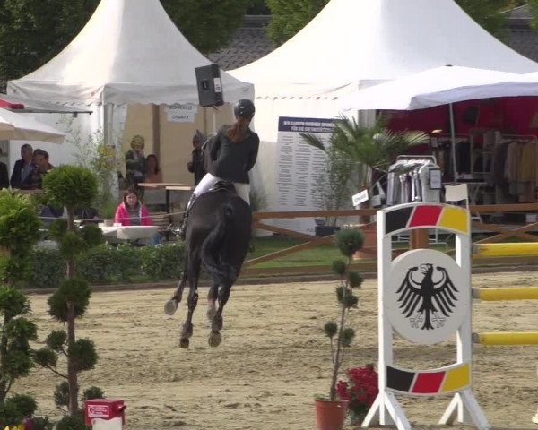Reitturnier Köln - Reitanlage Brüse 2018