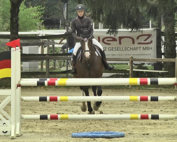 Reitturnier Walldorf/Winterheck 2018