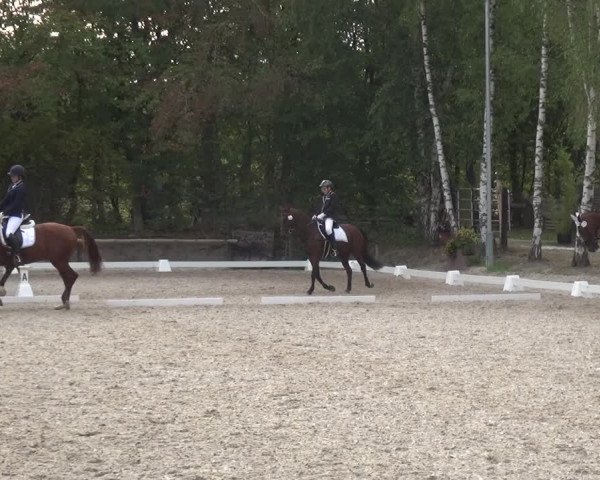 Reitturnier Würselen-Pley 2018