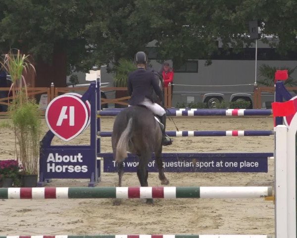 Reitturnier Köln - Reitanlage Brüse 2018