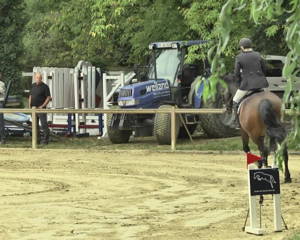 Reitturnier Walldorf/Winterheck 2018
