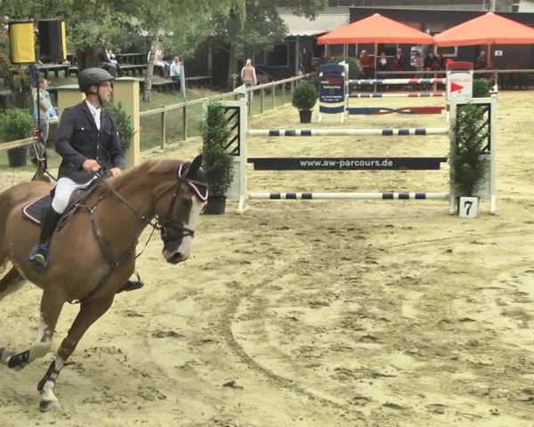 Reitturnier Walldorf/Winterheck 2018