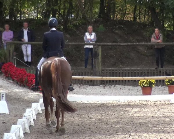 Reitturnier Würselen-Pley 2018
