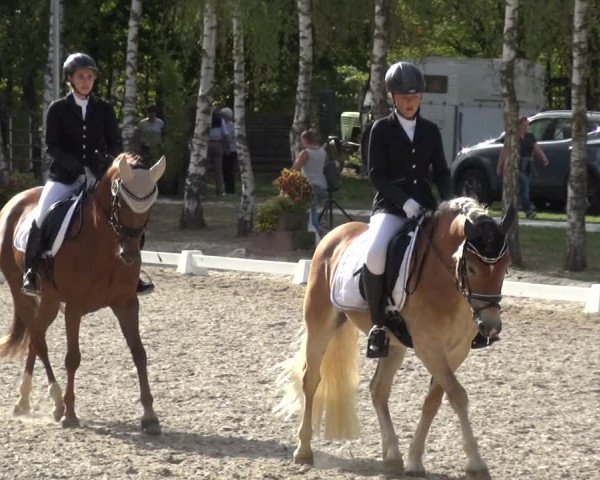 Reitturnier Würselen-Pley 2018