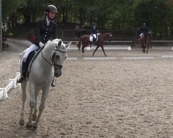 Reitturnier Würselen-Pley 2018