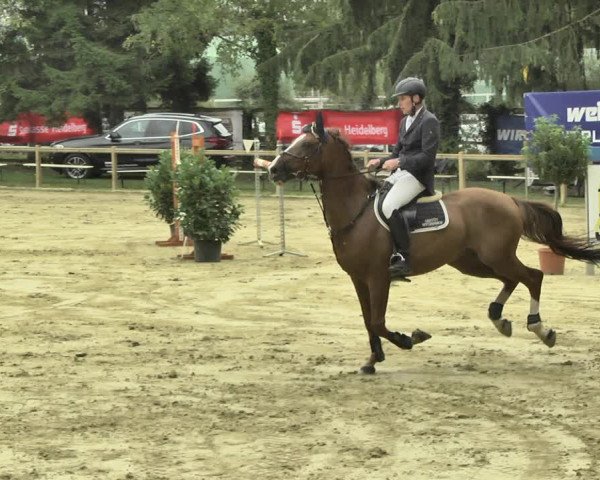 Reitturnier Walldorf/Winterheck 2018