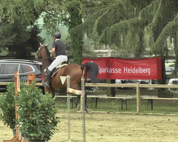 Reitturnier Walldorf/Winterheck 2018