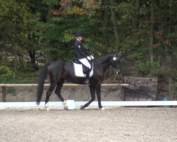 Reitturnier Würselen-Pley 2018