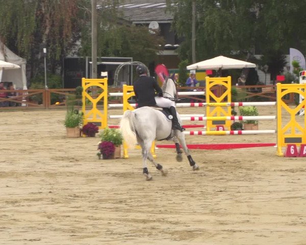 Reitturnier Köln - Reitanlage Brüse 2018