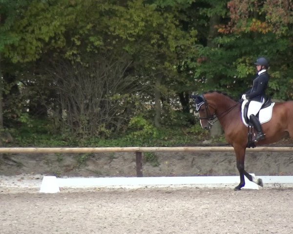 Reitturnier Würselen-Pley 2018