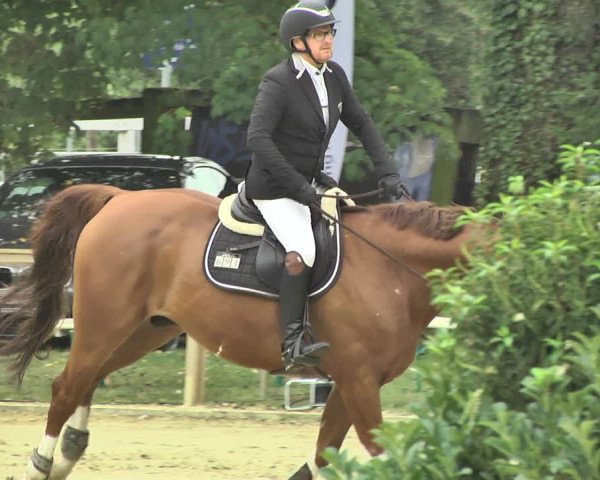 Reitturnier Walldorf/Winterheck 2018