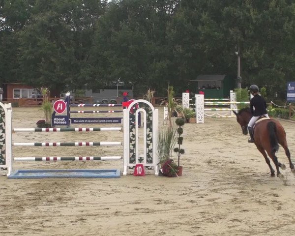 Reitturnier Köln - Reitanlage Brüse 2018