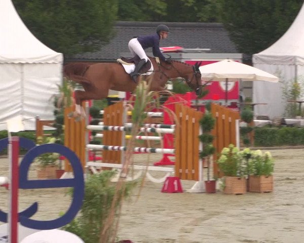 Reitturnier Köln - Reitanlage Brüse 2018