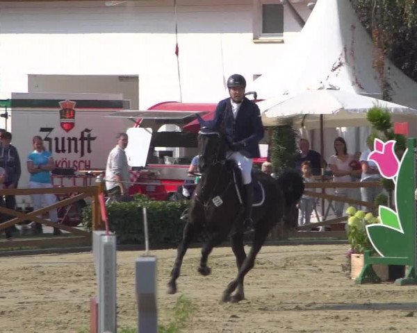 Reitturnier Köln - Reitanlage Brüse 2018