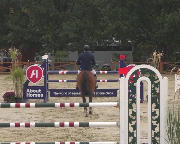 Reitturnier Köln - Reitanlage Brüse 2018